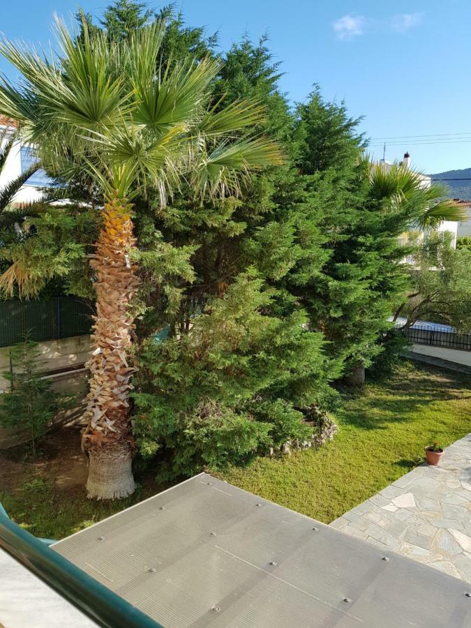 Nautilus Konuk evi Nea Iraklitsa Dış mekan fotoğraf